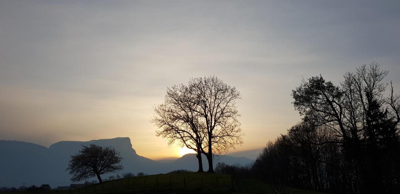 Gite Clair, Spacieux Et Cosy Avec Vue Sur Le Massif De La Chartreuse Sainte-Helene-du-Lac Exterior foto